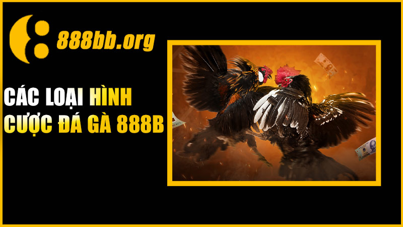 Các loại hình cược đá gà 888B